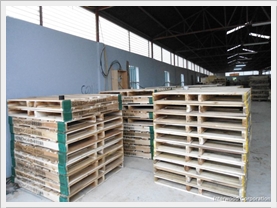 Pallet gỗ tự nhiên