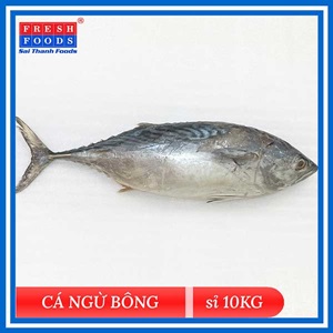 Cá Ngừ Bông