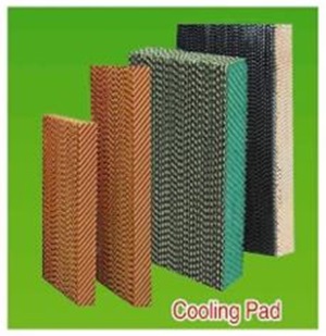 Sản Phẩm Tấm Làm Mát Cooling Pad