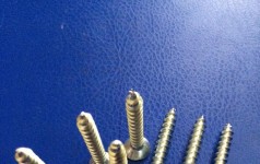 Vít bắn tôn Taiwan