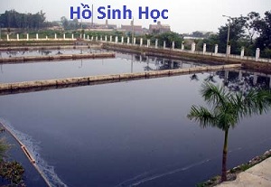 Xử lý nước thải bột mì