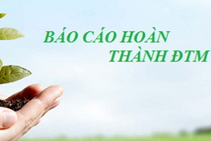 Báo cáo hoàn thành DTM
