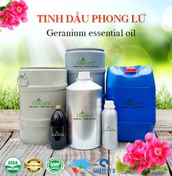 Tinh dầu phong lữ