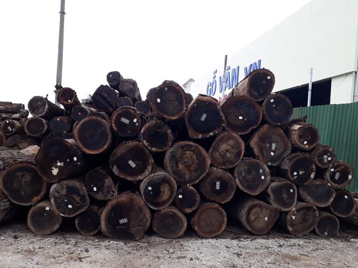 Gỗ óc chó