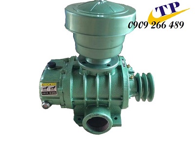 Máy thổi khí HONGRUN HRE-65