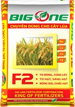 Phân bón lúa