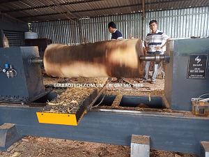 Máy Tiện Lục Bình Tự Động Vi Tính