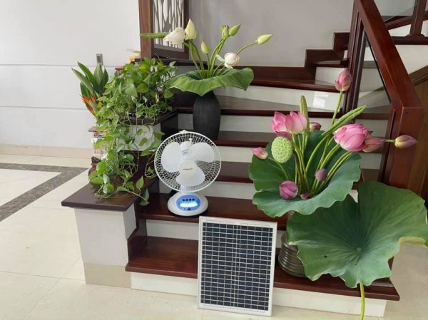 Quạt năng lượng mặt trời