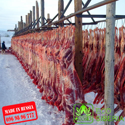 Thịt hươu Siberia