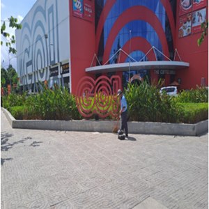 Vệ Sinh Sân Vườn
