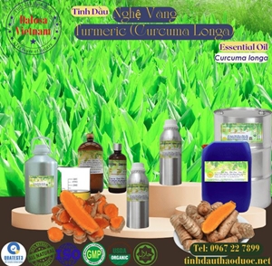 Tinh Dầu Nghệ Vàng