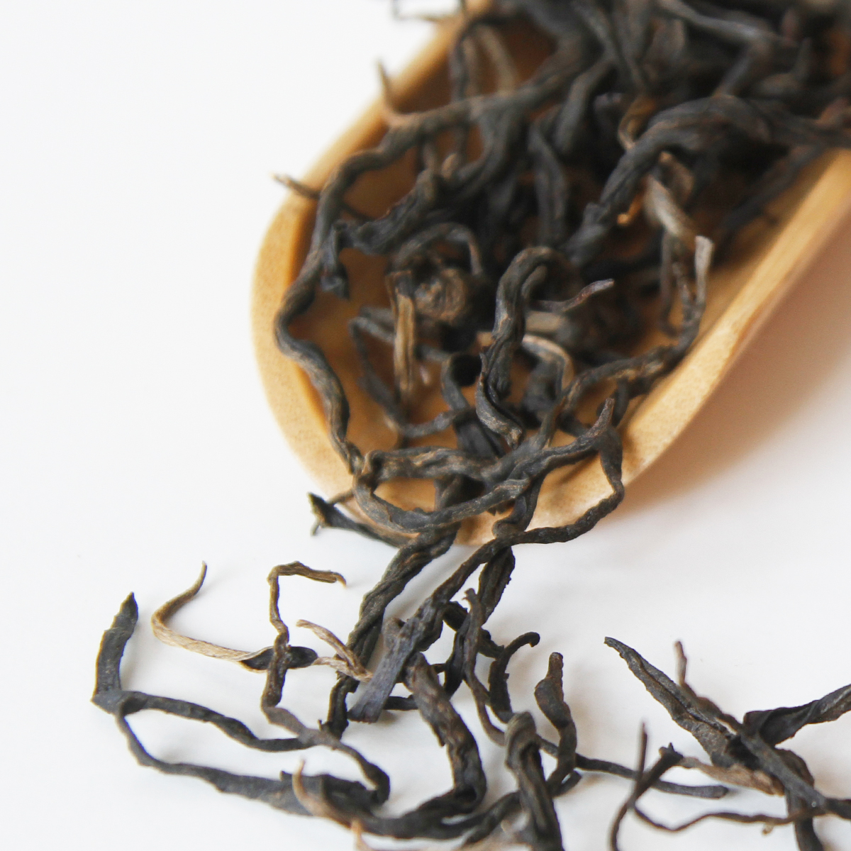 Hồng trà shan tuyết cổ thụ