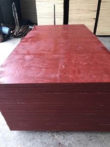 Ván ép coppha phủ keo