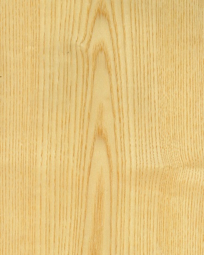 Veneer gỗ Tần Bì Châu Mỹ