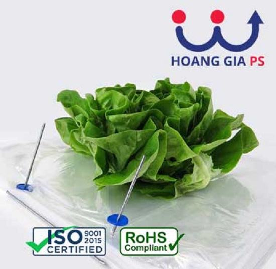 Túi PP đựng rau