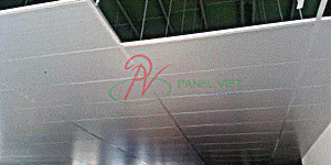 Trần Panel EPS