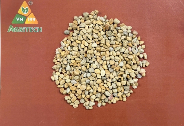 Sỏi vàng