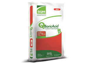 Boric acid