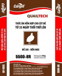 Thức ăn cho cút