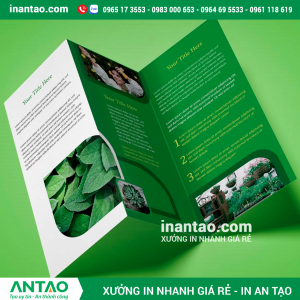 In brochure