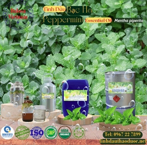 Tinh dầu bạc hà