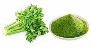 Bột Cần Tây Mật Ong