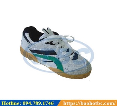 Giày Bảo Hộ ASIA Cầu Lông MSC02