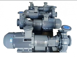 Bơm Ly Tâm Trục Ngang - EN733