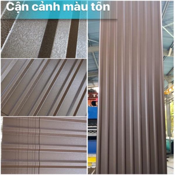 Tôn Zacs hoa cương