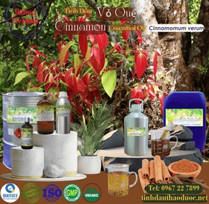Tinh Dầu Vỏ Quế