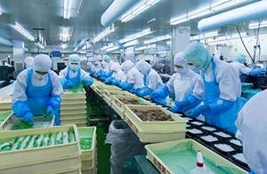 Xây Dựng Nhà Máy Thực Phẩm