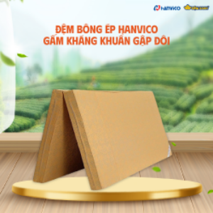 Nệm bông ép Hanvico