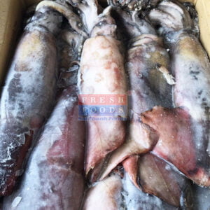 Mực xà