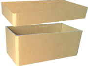 Thùng carton nắp rời