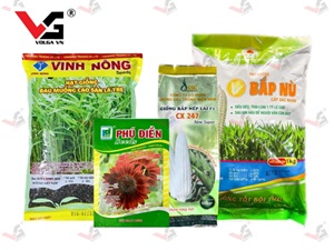 Bao Bì Hạt Giống