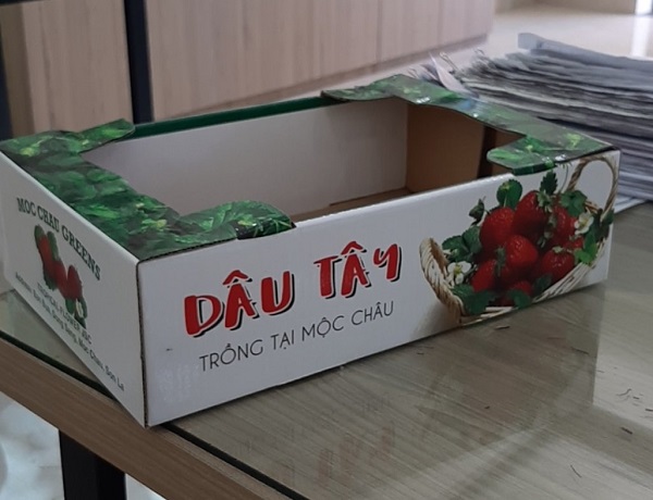 Hộp giấy in offset