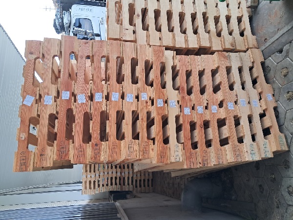 Pallet gỗ thông