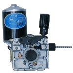Motor châu Âu