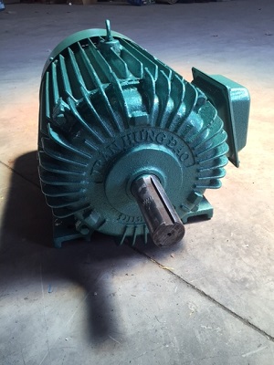 Mô tơ 3 pha 15Kw