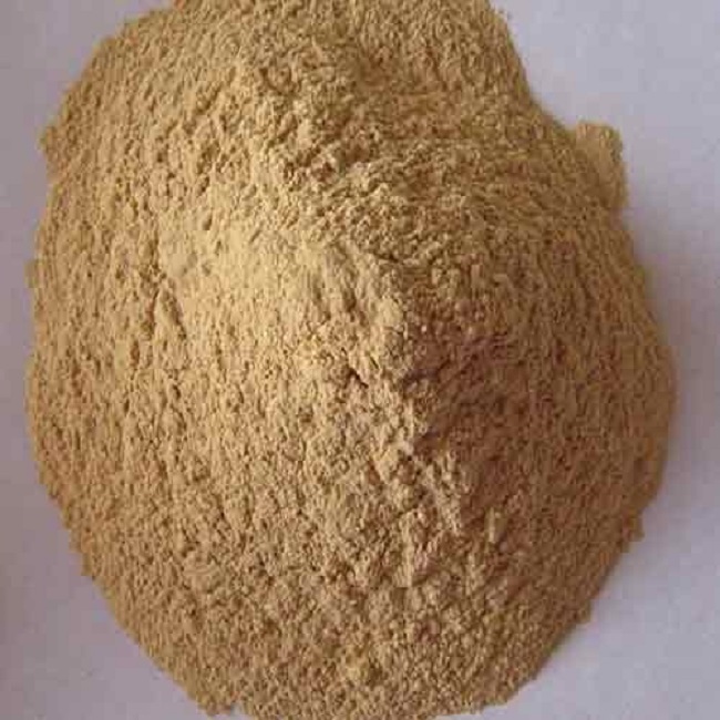Bột gỗ