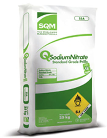 Potassium nitrate